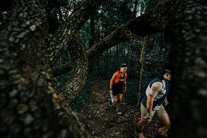 BIB: 
                            <button type="button" onclick="openModal(25687150)" class="btn btn-primary btn-sm float-right btn-popup" data-toggle="modal" data-target=".modal-high-quality">
                        <i class="fas fa-shopping-cart"></i> Add to Cart
                    </button>
                                            <button type="button" onclick="isThisMe(25687150, true)" class="btn btn-success btn-sm float-right btn-popup btn-isme hidden" data-toggle="tooltip" data-placement="bottom" title="นี่คือรูปของคุณใช่ไหม คลิกที่นี่เพื่อเอาเข้าอัลบั้ม">
                        <i class="fas fa-plus"></i> Add to album
                    </button>
                    <button type="button" onclick="isThisMe(25687150, false)" class="btn btn-warning btn-sm float-right btn-popup btn-isnotme hidden">
                        <i class="fas fa-ban"></i> Remove from album
                    </button>